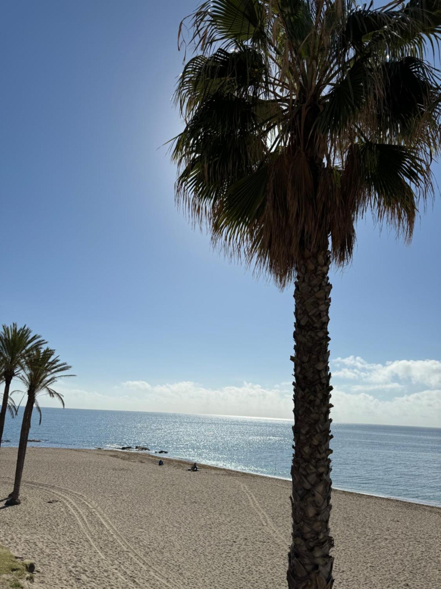 Brand New Studio Benalmádena Eksteriør billede