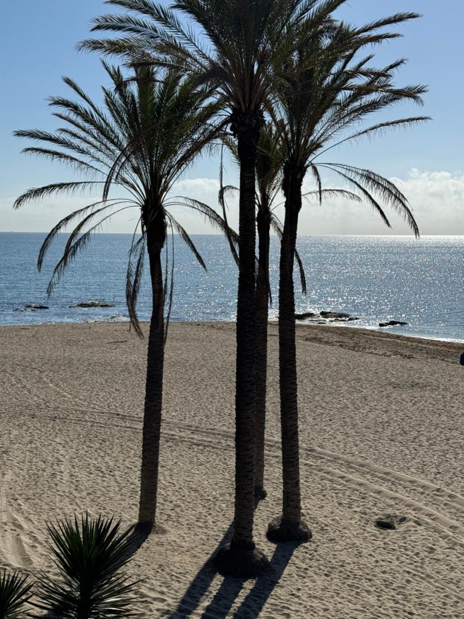Brand New Studio Benalmádena Eksteriør billede